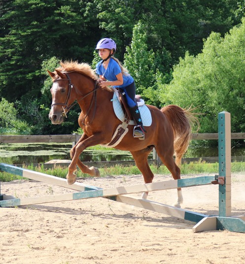 English Riding Lessons – Valley View Equestrian Camp for Girls