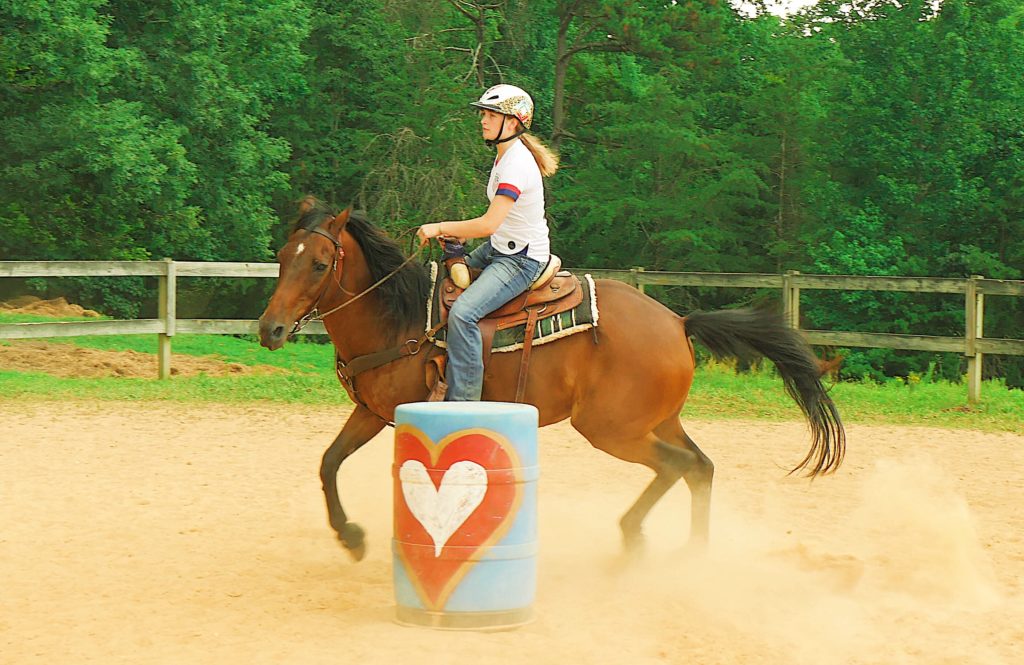Download Horseback Riding Camp For Girls Valley View Ranch Georgia